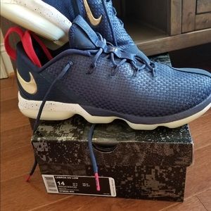 Lebron XIV Low